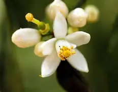 Rookie连办7站大赛后续来了(rookie几个冠军) Rookie连办7站大赛后续来了(rookie几个冠军)